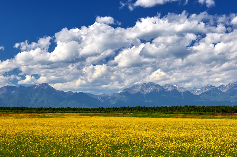 Sayan Mountains Arshan free day &mdash; Baikal Legends